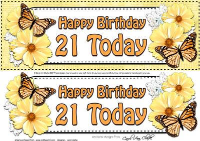 Large Dl Birthday 21 Today Floral Butterflies 3D Decoupage