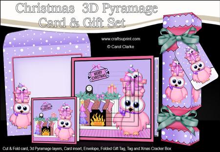 3D Owl's Present Fireplace Xmas Pyramage Gift Set & Cracker