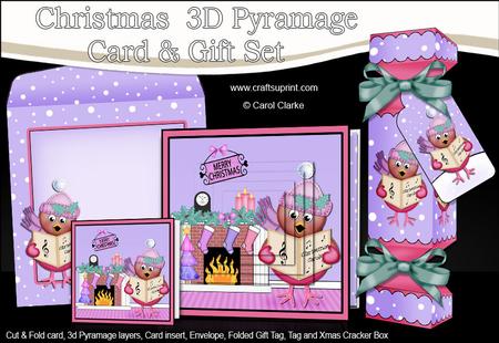 3D Singing Robin Fireplace Xmas Pyramage Gift Set & Cracker