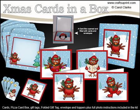 Christmas Robins Cards in a Box Bumper Kit