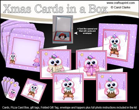 Christmas Owls Cards in a Box Bumper Kit