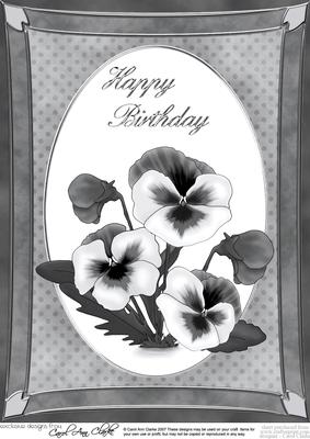 A4 Pansy - Birthday