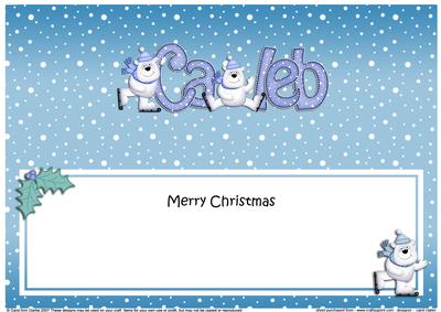 Merry Christmas Caleb Polar Bears Matching Large Dl Insert