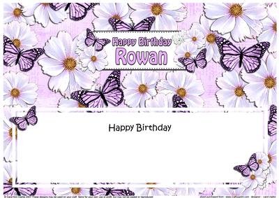Birthday Rowan Floral Butterflies Large Dl Matching Inser