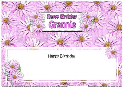 Birthday Grannie Daisies Floral Large Dl Matching Insert