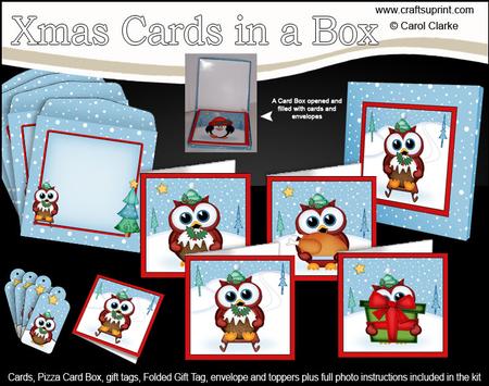Christmas Owls Cards in a Box Bumper Kit