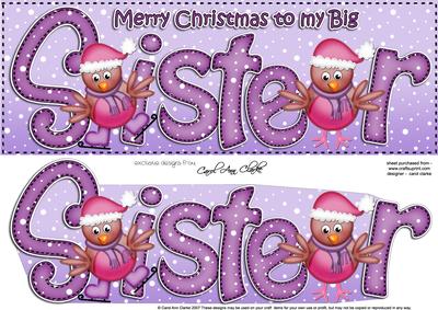 Large Dl Xmas Big Sister Robins Quick Card 3D Decoupage