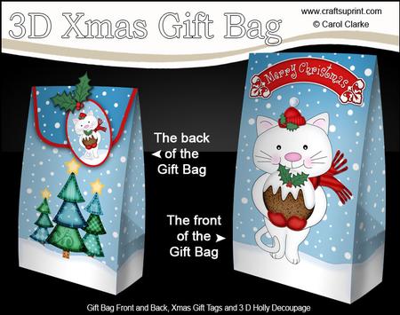 3D Xmas Cat's Pudding Gift Box Mini Kit