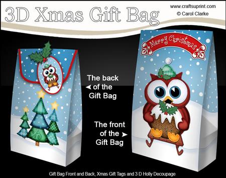 3D Xmas Sledging Owl Gift Box Mini Kit