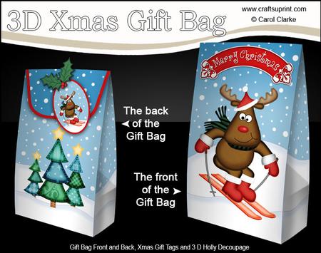 3D Xmas Skiing Rodolph Gift Box Mini Kit