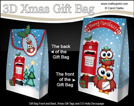 3D Xmas Owls Letter to Santa Gift Box Mini Kit