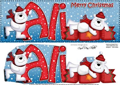 Xmas Ali Polar Bears Large Dl & 3D Decoupage
