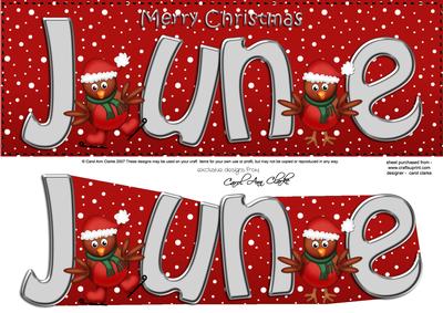 Xmas June Robins Large Dl & 3D Decoupage