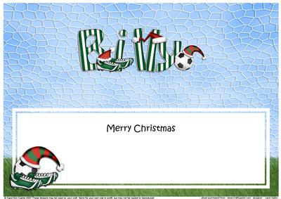 Xmas Billy Football Matching Large Dl Insert