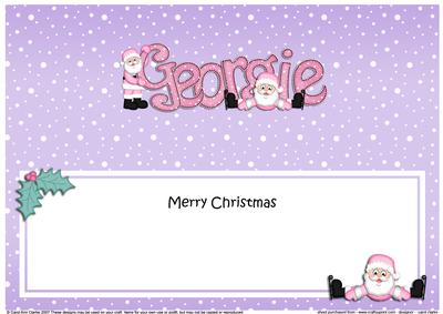 Xmas Georgie Santa Matching Large Dl Insert
