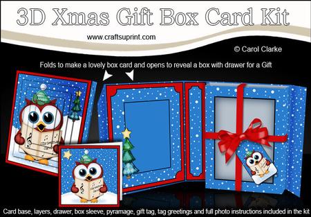 3D Xmas Singing Owl Gift Box Card Kit & Pyramage