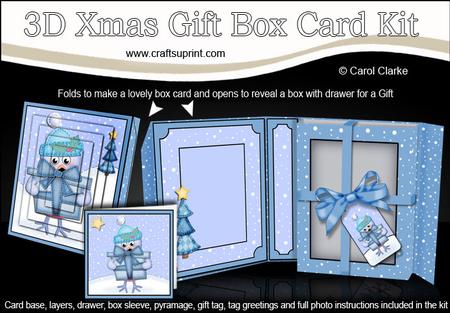 3D Xmas Robin's Present Gift Box Card Kit & Pyramage
