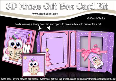 3D Xmas Carol Singing Owl Gift Box Card Kit & Pyramage
