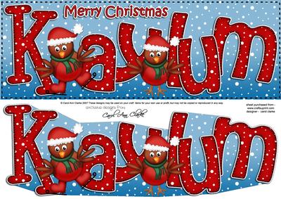 Xmas Kaylum Robins Large Dl & 3D Decoupage