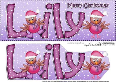 Xmas Lily Robins Large Dl & 3D Decoupage