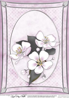 A4 Apple Blossom