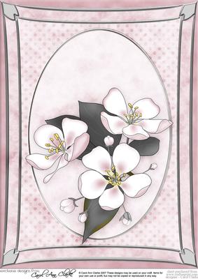 A4 Apple Blossom