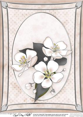 A4 Apple Blossom