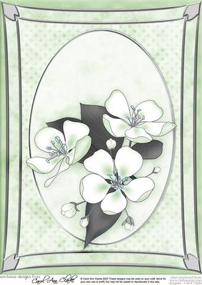 A4 Apple Blossom