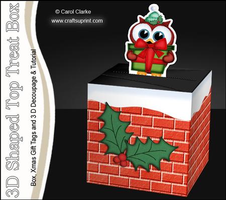 3D Xmas Owl's Present Shaped Top Gift Box Mini Kit