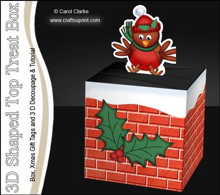 3D Xmas Robin Shaped Top Gift Box Mini Kit