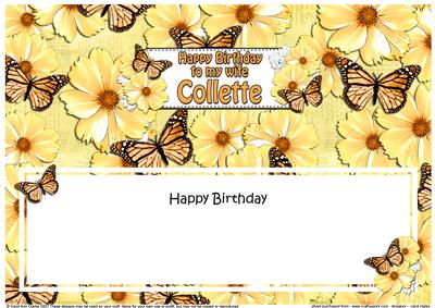 Birthday Wife Collette Floral Butterflies Large Dl Insert