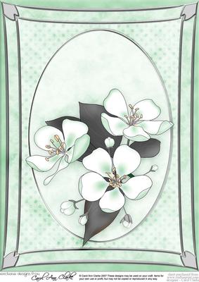 A4 Apple Blossom