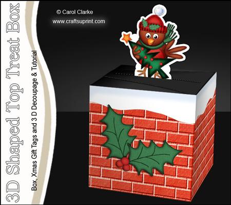 3D Xmas Robin Shaped Top Gift Box Mini Kit