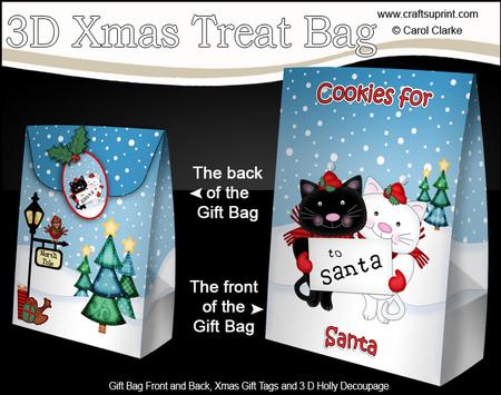 3D Xmas Cookies for Santa Cats Large Gift Bag Mini Kit