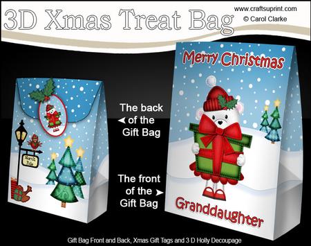 3D Xmas Granddaughter Teddy Tess Large Gift Bag Mini Kit
