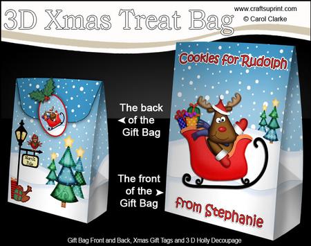 3D Xmas Cookies 4 Rudolph Stephanie Large Gift Bag Mini Kit