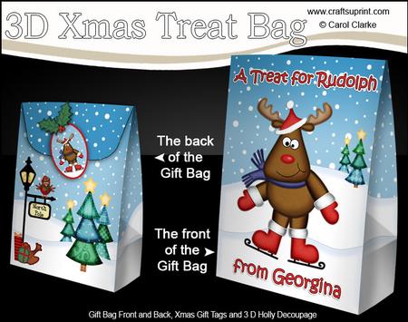 3D Xmas Treat 4 Rudolph Georgina Large Gift Bag Mini Kit
