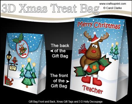 3D Xmas Teacher Rudolph Large Gift Bag Mini Kit