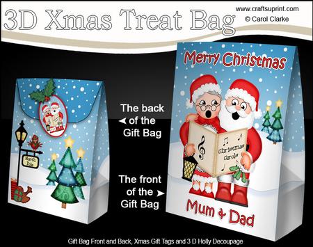 3D Xmas Mum & Dad Santa & Mrs Claus Large Gift Bag Mini Kit