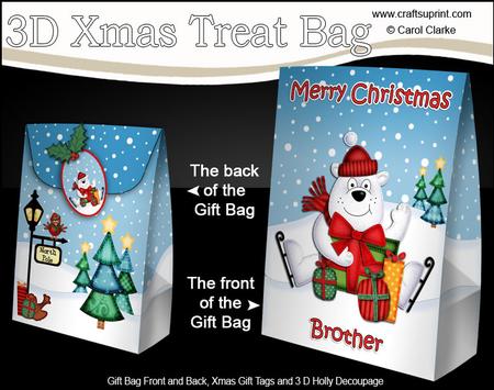 3D Xmas Brother Polar Bear Large Gift Bag Mini Kit