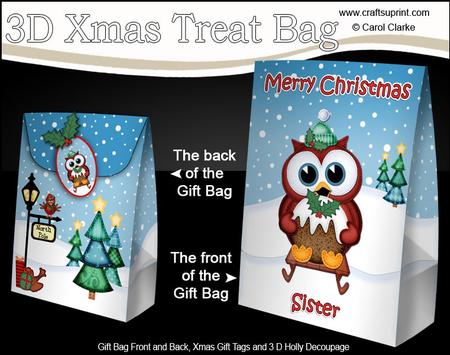 3D Xmas Sister Sledging Owl Large Gift Bag Mini Kit