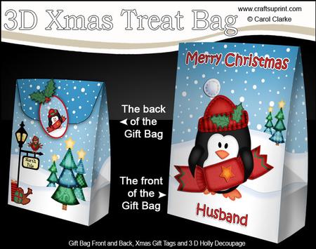 3D Xmas Husband Penguin Large Gift Bag Mini Kit