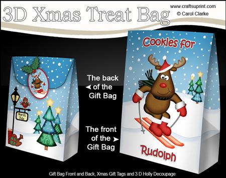 3D Xmas Cookies for Rudolph Large Gift Bag Mini Kit