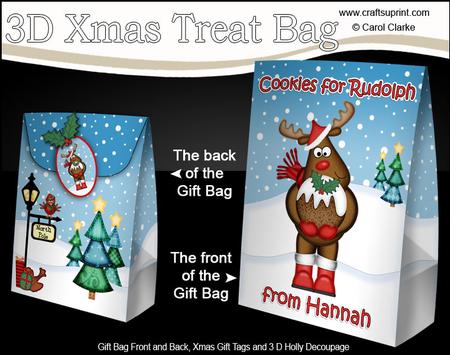3D Xmas Cookies for Rudolph Hannah Large Gift Bag Mini Kit