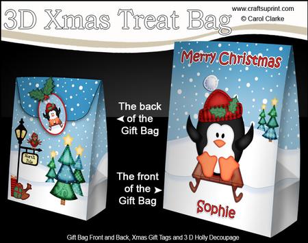 3D Xmas Sophie Sledging Penguin Large Gift Bag Mini Kit