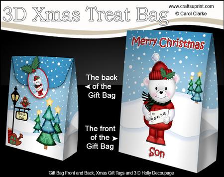 3D Xmas Son Teddy Ed Large Gift Bag Mini Kit