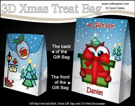 3D Xmas Gift 4 Daniel Little Owl Large Gift Bag Mini Kit