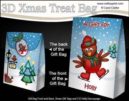 3D Xmas Holly Robin Large Gift Bag Mini Kit