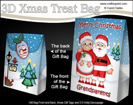 3D Xmas Grandparents Mr & Mrs Claus Large Gift Bag Mini Kit
