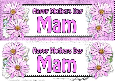 Large Dl Mothers Day Mam Daisies Floral 3D Decoupage